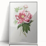 Romanticism Art - Peony Flower Painting on Canvas