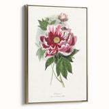 Romanticism Art - Peony Flower Painting on Canvas