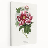 Romanticism Art - Peony Flower Painting on Canvas
