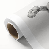 Anatomical Art Print - Tiger Body Dissection by George Stubbs - Detailed Scientific Illustration