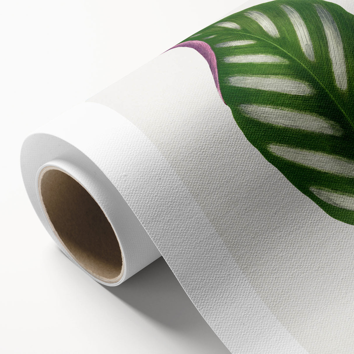 Romanticism Art - Maranta Porteana Leaf Illustration on Canvas