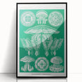Modern Wall Art - Discomedusae by Ernst Haeckel - Intricate Marine Decor