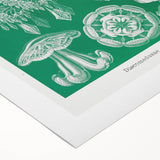 Modern Wall Art - Discomedusae by Ernst Haeckel - Intricate Marine Decor