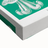 Modern Wall Art - Discomedusae by Ernst Haeckel - Intricate Marine Decor