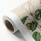 Classical Realism Botanical Art Print - Calceolaria & Mazus