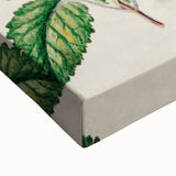 Classical Realism Botanical Art Print - Calceolaria & Mazus