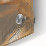 Impressionist Portrait - Madame Dietz-Monnin by Degas Wall Art Print