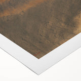 Impressionist Portrait - Madame Dietz-Monnin by Degas Wall Art Print