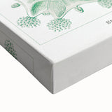 Modern Wall Art - Stauromedusae by Ernst Haeckel - Unique Marine Decor