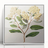 Classical Realism Botanical Art Print - Kumarahou Flower Study