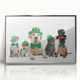 St. Patrick’s Day Pets - Festive Leprechaun Wall Art