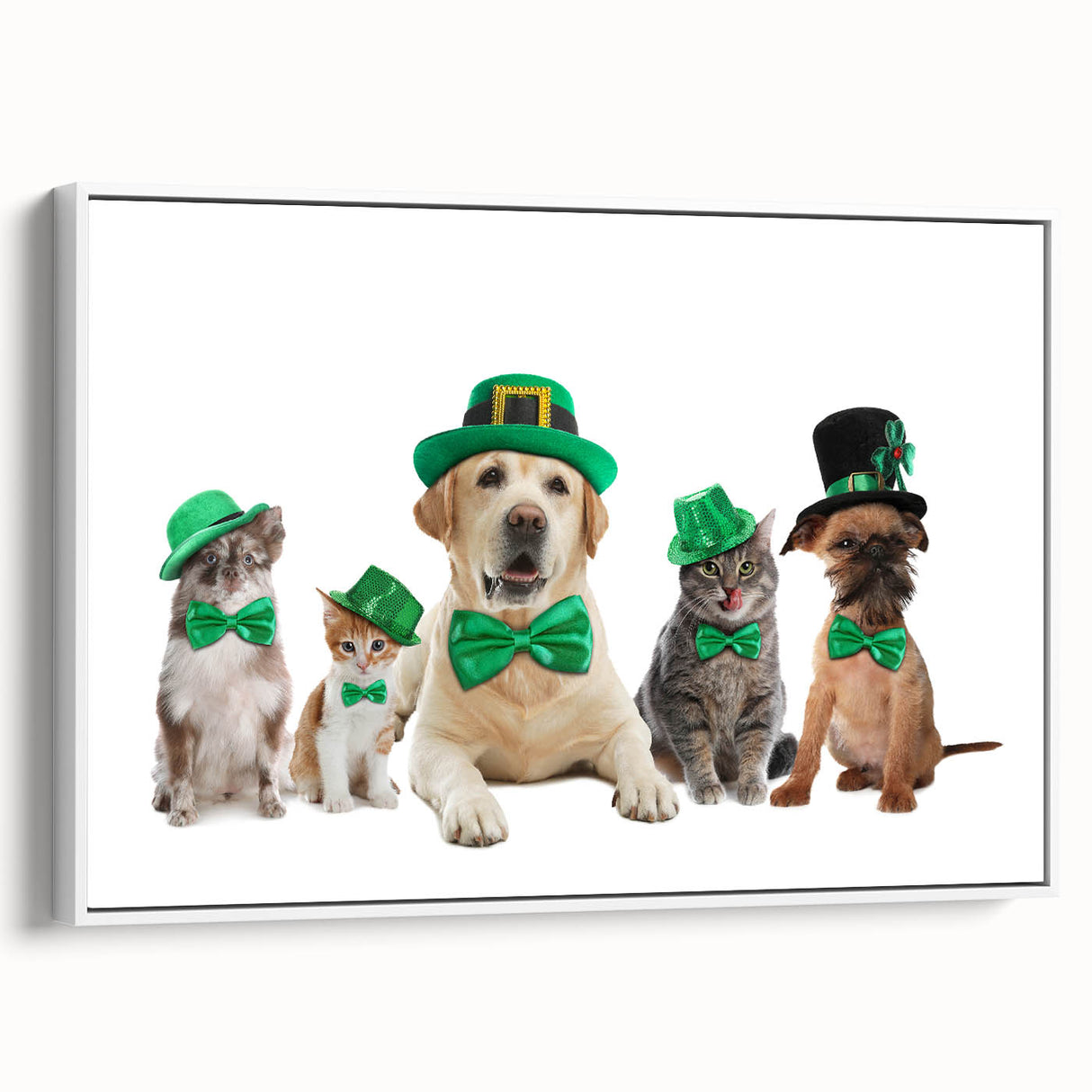 St. Patrick’s Day Pets - Festive Leprechaun Wall Art