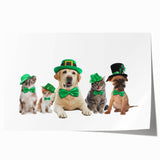 St. Patrick’s Day Pets - Festive Leprechaun Wall Art