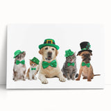 St. Patrick’s Day Pets - Festive Leprechaun Wall Art