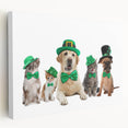 St. Patrick’s Day Pets - Festive Leprechaun Wall Art