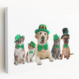 St. Patrick’s Day Pets - Festive Leprechaun Wall Art