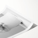 Cute Hamster Bathroom Wall Art - Minimalist Black and White Decor