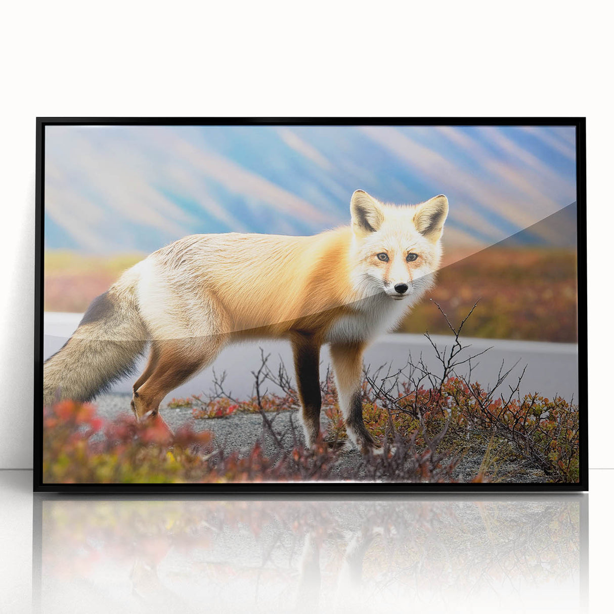 Large abstract wall art depicting a Yukon scenery in black and white on framed acrylic.
