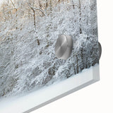 Acrylic glass print of large abstract wall art featuring mid-century modernist style with vibrant hues.