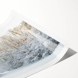 Extra large wall art featuring line art flowers in muted earth tones on a rolled canvas, ideal for large living room decor.