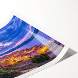 Extra large wall art featuring line art flowers in muted colors on a rolled print, ideal for large living room decor.