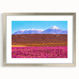 Textured abstract art print depicting a South American Bolivian landscape in muted earth tones, framed in silver.