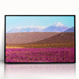 Large abstract wall art depicting a Bolivian landscape in muted earth tones on a framed acrylic.