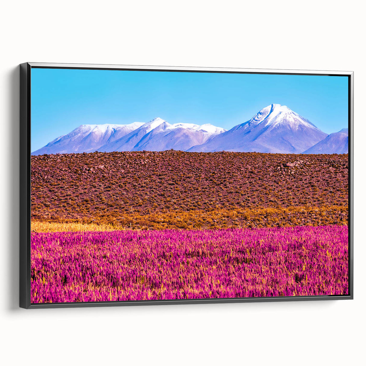 Black and white framed canvas of a Bolivian landscape, ideal for bedroom wall art.