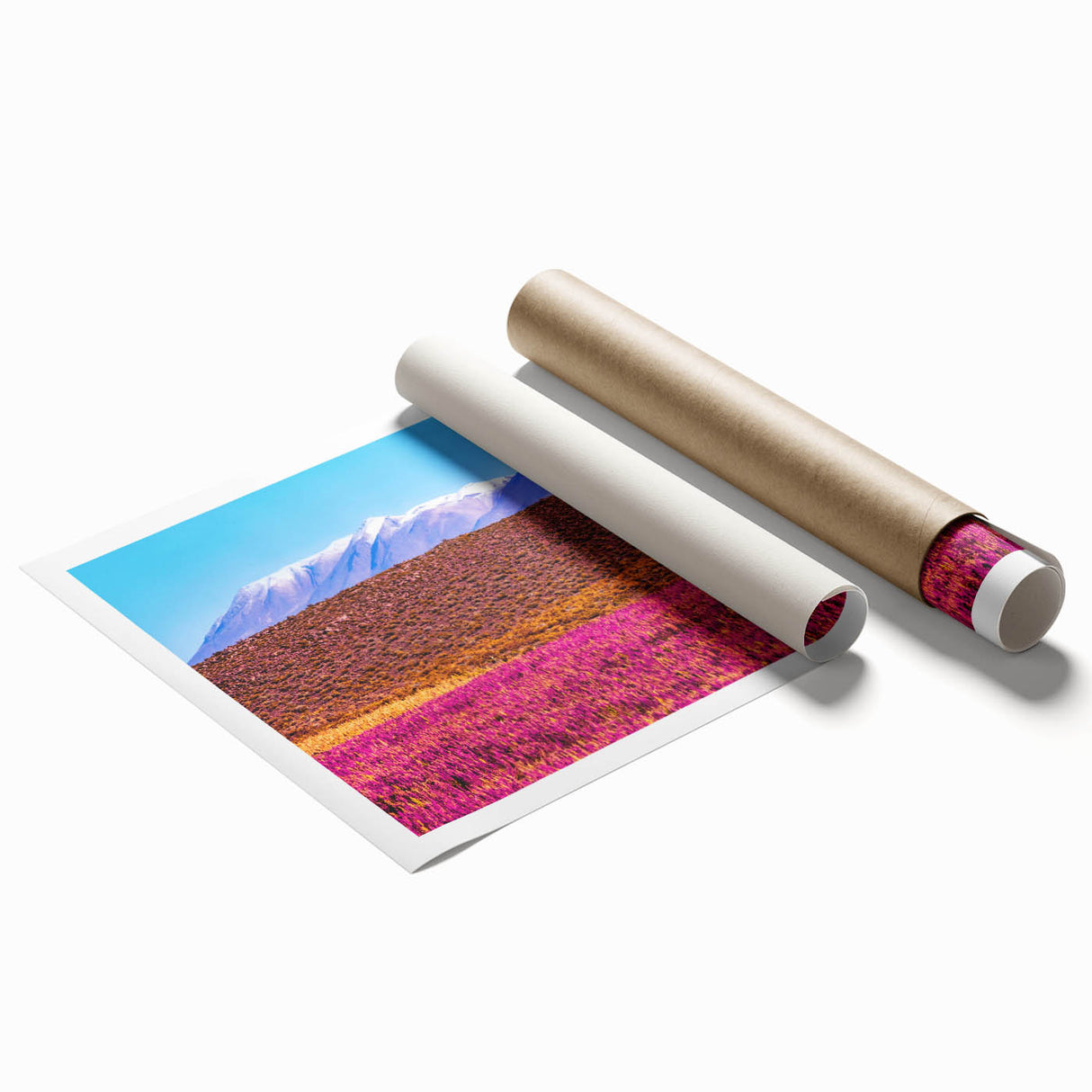 Extra large rolled print of a serene Bolivian landscape with lush greenery and distant mountains.