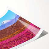 Extra large wall art featuring line art flowers in muted earth tones on a rolled canvas, ideal for large living room decor.