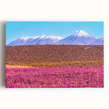 Large black and white stretched canvas of Bolivian landscape, ideal for kitchen wall art.