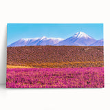 Black and white photo of Bolivian landscape on stretched canvas, ideal for kitchen wall art or bedroom.