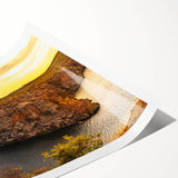 Extra large wall art featuring line art flowers in soft pastel shades on a rolled print, ideal for large living room decor.