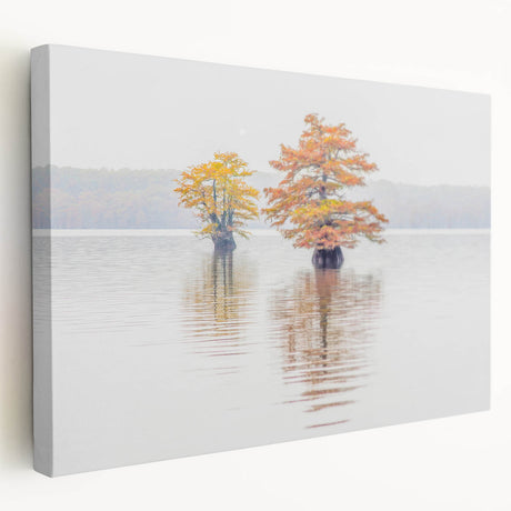 Large canvas print featuring a vibrant Louisiana landscape, ideal for kitchen wall art.
