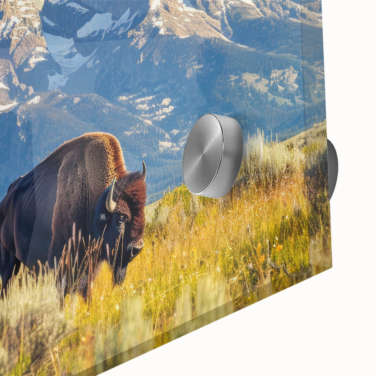 Acrylic print of the Grand Tetons in muted earth tones, ideal for dining room art in a mid-century modernist style.