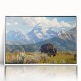 Acrylic print of the Grand Tetons in muted earth tones, framed in white, suitable as modern art wall decor.