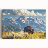Black and white stretched canvas of Grand Tetons scenery, ideal for kitchen wall art.
