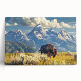 Black and white stretched canvas of Grand Tetons scenery, ideal for kitchen wall art or bedroom ambiance.