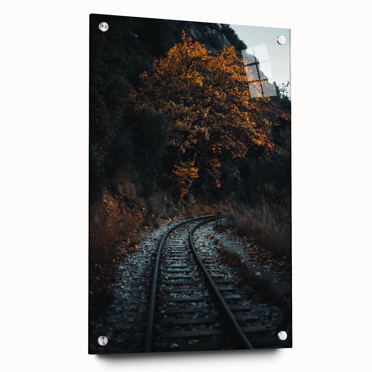 Large abstract wall art depicting fall season in muted orange and brown tones on acrylic glass.