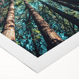 Art deco poster featuring vibrant spring themes on a rolled canvas, ideal for dining room wall art.