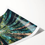 Extra large wall art featuring line art flowers in muted pastel shades on rolled canvas, ideal for large living room decor.