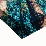 Black and white landscape painting on a large canvas, depicting a serene spring scene, ideal for bedroom wall decor.