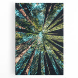 Black and white abstract depiction of spring on large stretched canvas, suitable for kitchen wall art.