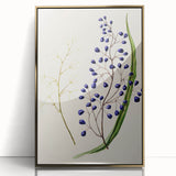 Botanical Realism Art Print - Ink Plant (Dianella Intermedia
