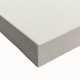 Botanical Realism Art Print - Ink Plant (Dianella Intermedia