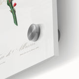 Romanticism Art: Apricot Blossom by Giorgio Gallesio