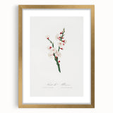 Romanticism Art: Apricot Blossom by Giorgio Gallesio