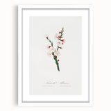 Romanticism Art: Apricot Blossom by Giorgio Gallesio