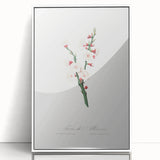 Romanticism Art: Apricot Blossom by Giorgio Gallesio