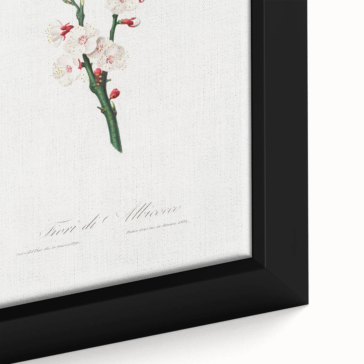 Romanticism Art: Apricot Blossom by Giorgio Gallesio